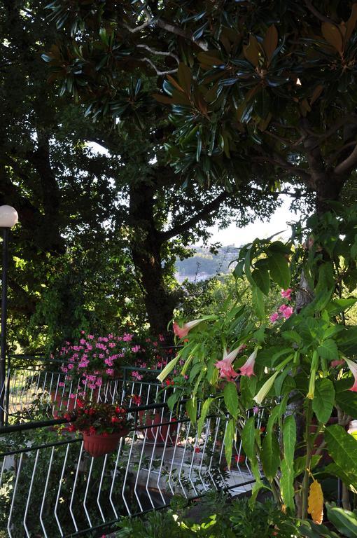 Hotel Firenze Chianciano Terme Rom bilde